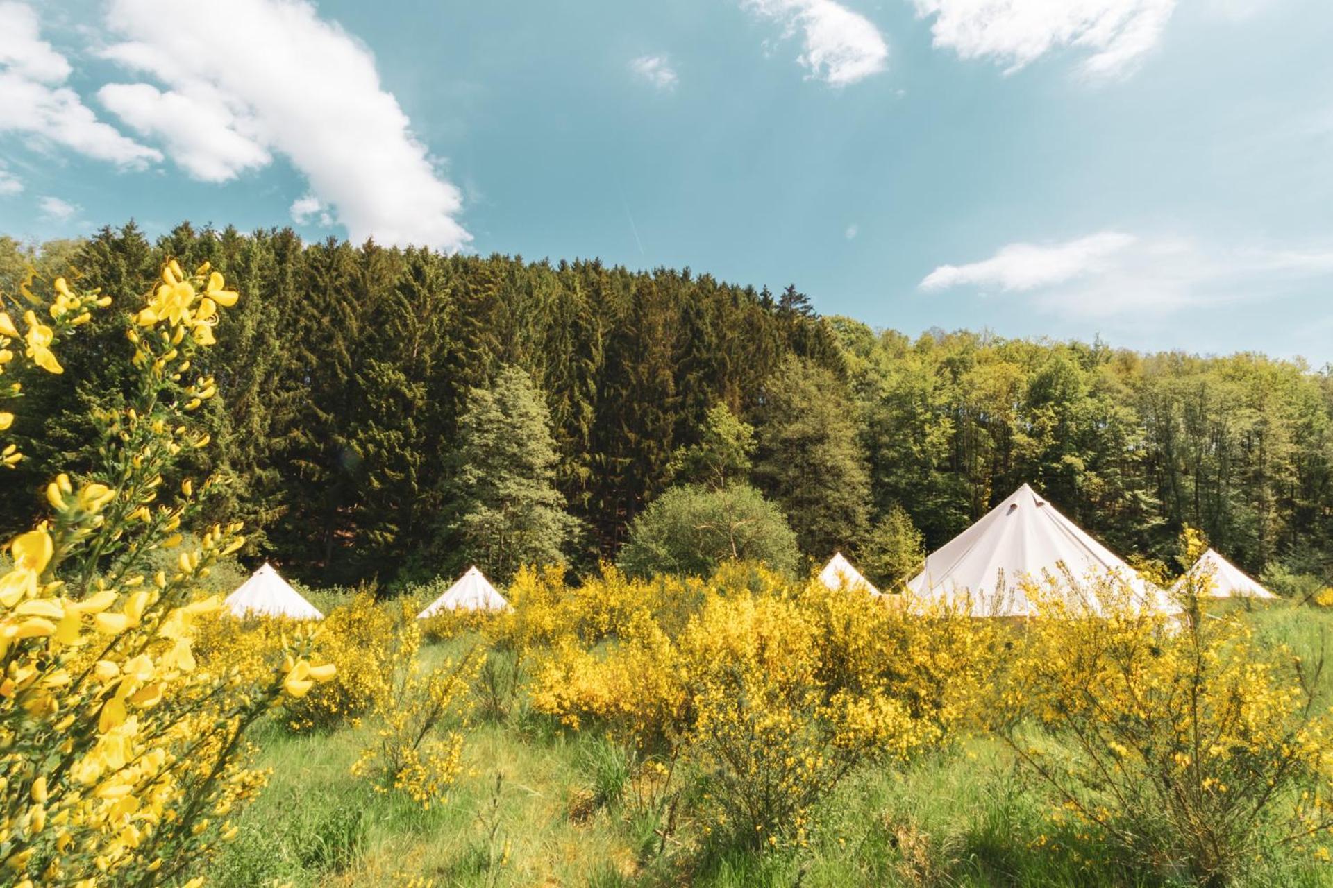 Daft Hotel & Glamping Malmedy Exteriör bild